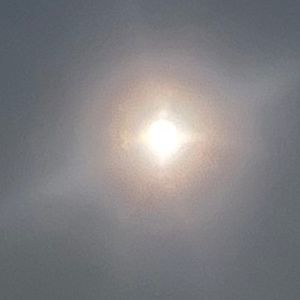 Meet your Posher, Rameez